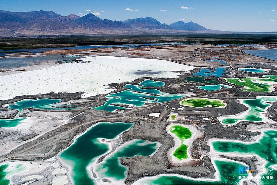 常吃的魚有哪些 