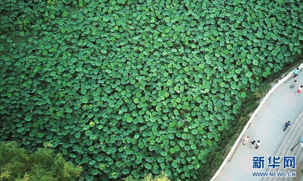 宁夏没有最佳旅游时间,因为它四季无缝连接!都