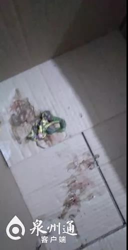 ag亚游-登录工具|终于怒了!雷军狂怼华为:生死看淡,不服就干