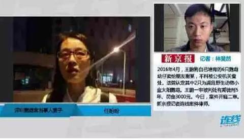 “鹦鹉案”改判两年,拿捏了法治、常识、人情的平衡