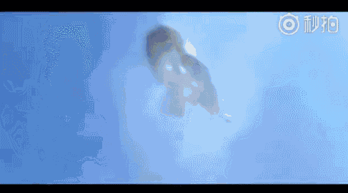 《天龙八部》又要重拍！哪一版最经典？网友求放过乔峰、