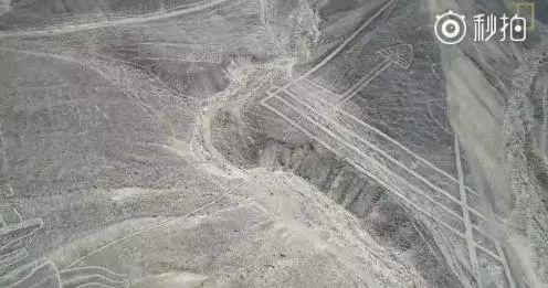 飙温！30℃春天回来了｜崩溃！秦皇岛一对情侣酒