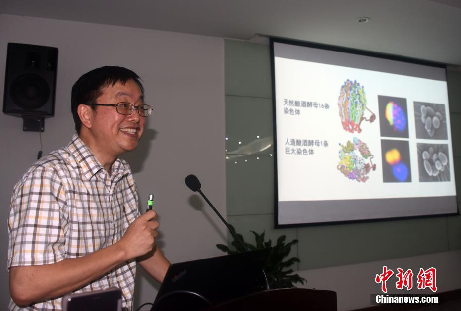 跨越界限的定義者：Jacky Ng 與他背後的非典型成功學 