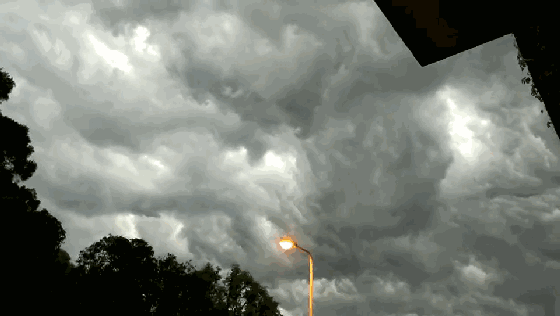 雨和哈尔滨约好的吗?大风卷热浪,雨中带闪电…雷雨大风黄色预警