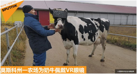 7利高娱乐场-一夜之间,西安涌入了好多的人人从众……月薪多少才有未来?