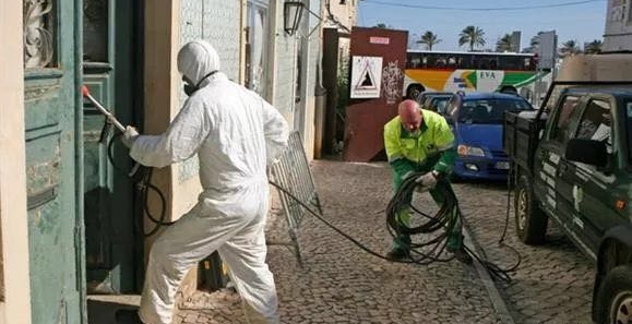 四海城事 | 蟑螂泛滥,老鼠成灾,里斯本有害生物