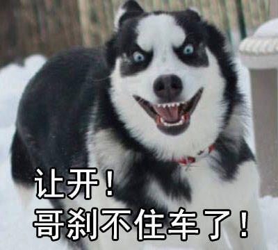 �������˽�����û��ת�˵��� ����һ��2��13�������