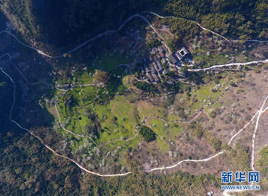 医药集采今年将提质扩面