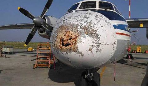 战斗飞机爆炸图片