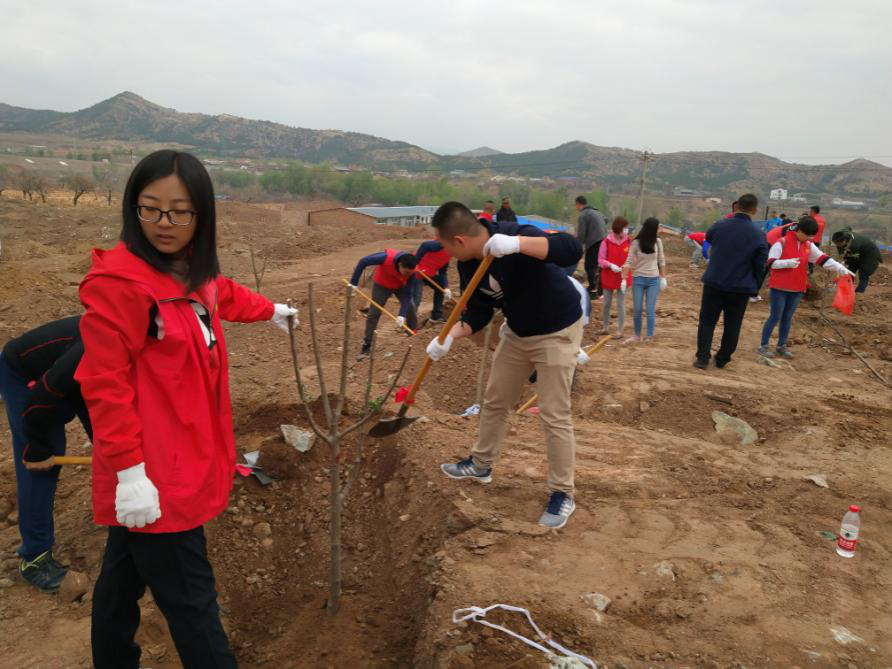 呼和浩特碧桂园绿动青城 悦享美好植树活动