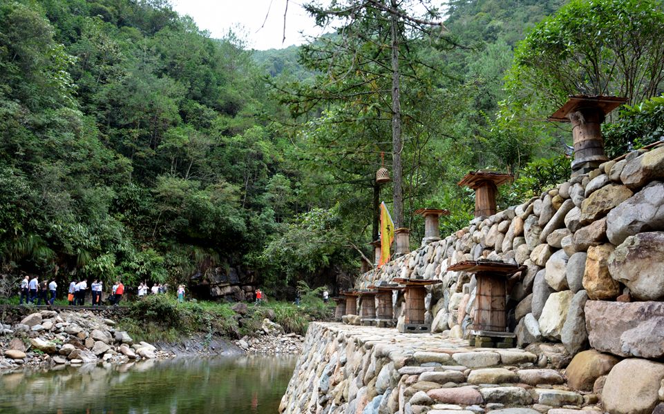 亚洲蜂业联合会主席王希利:天时地利人和促龙