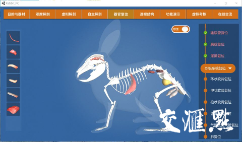 虚拟兔子引发实验室革命!扬州大学兔平台虚