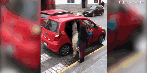 一室一厅小户型装修效果图欣赏