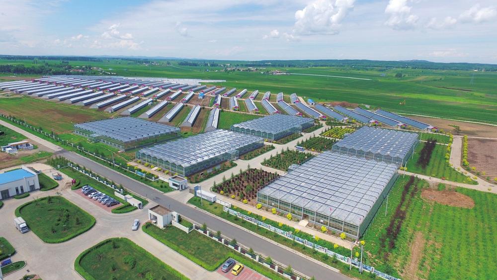 长春镇人口_长春人口热力图