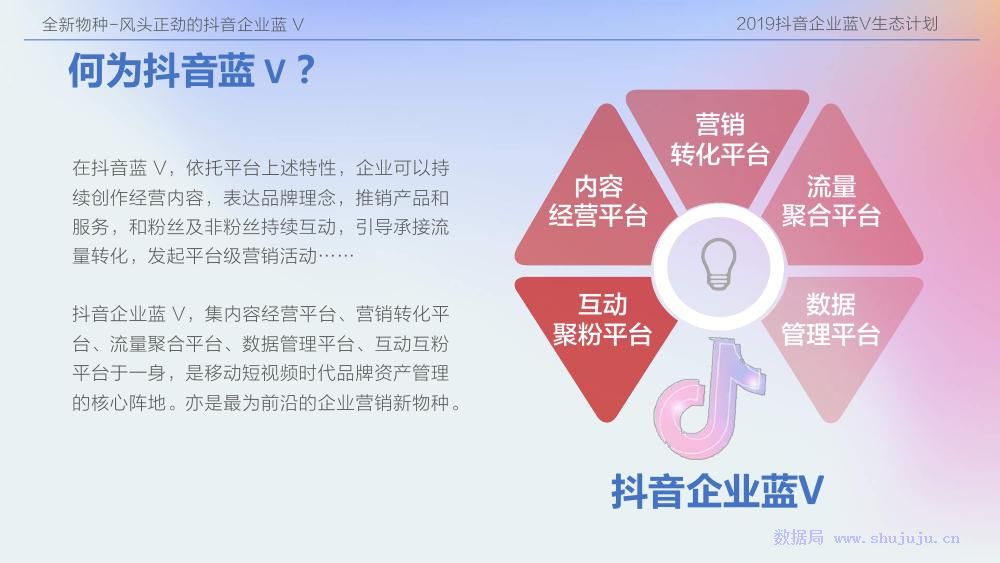 2019抖音企业蓝v生态计划