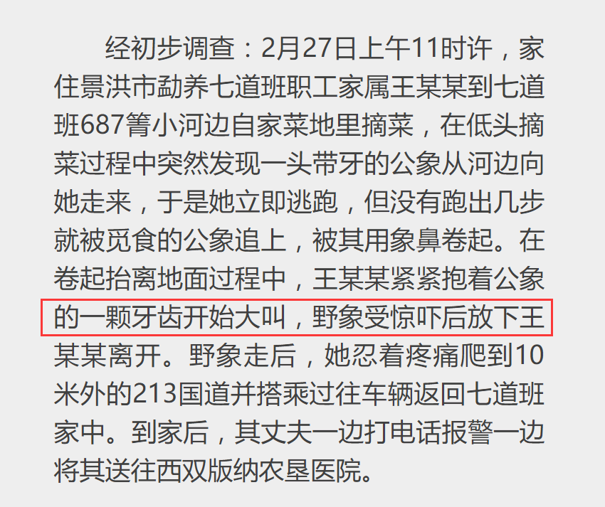 婚前协议生娃后必须减肥 每日轻松一刻3月1日晚间版