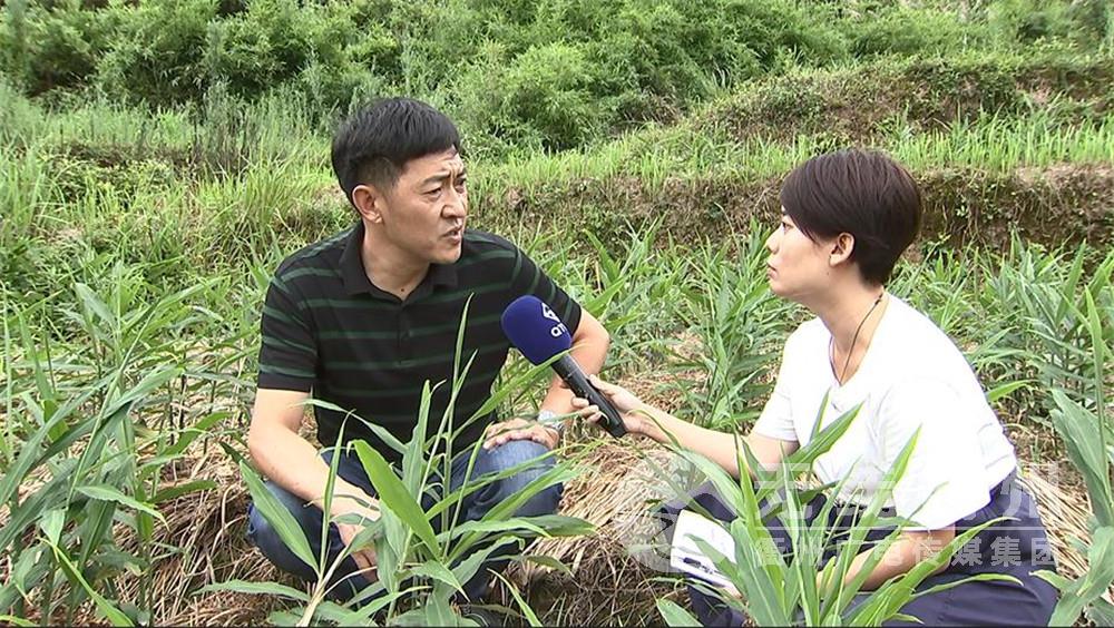 农产品电商平台助力我市乡村大花园建设