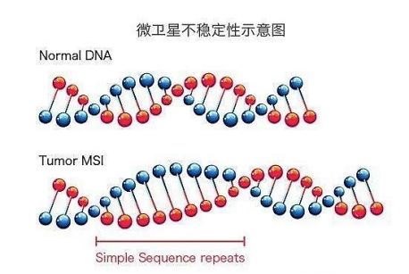 抗体药事 |“神药”发神力,keytruda究竟神在哪里?