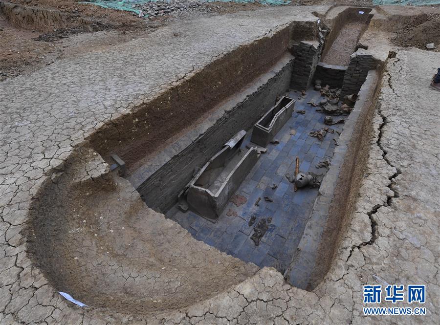 鏃犻伄缇炲姩婕——免费在线观看与剧情介绍