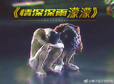 ϷԼŮֺ˫˫šѳ顱δ