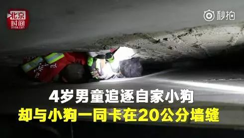 飙温！30℃春天回来了｜崩溃！秦皇岛一对情侣酒