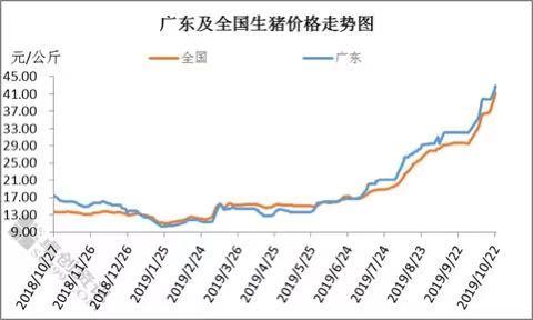 澳贝注册|柴犬被迫与二哈关在一起 一脸生无可恋的样子