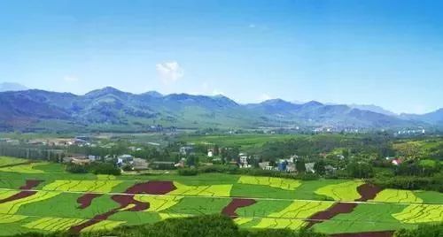 买基金常亏钱的怪圈怎么走出来?丨读报时间