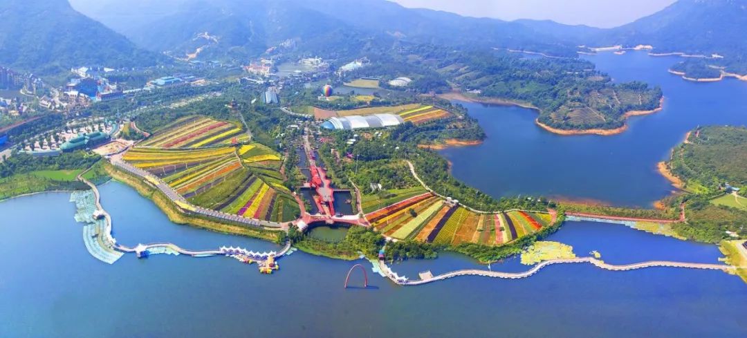 错过会后悔!白菜价坐直升机,私人订制赏花