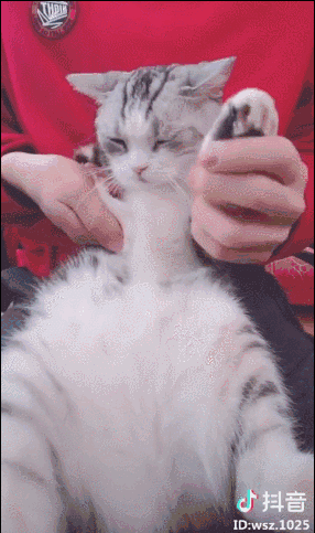 像一颗海草海草…你也被这个舞刷屏了吗?但你一定没看过这种版本|海草|金美娜|舞蹈_新浪新闻