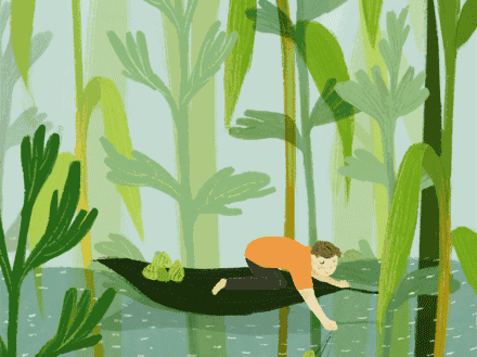 壁纸 花 桌面 440_329 gif 动态图 动图