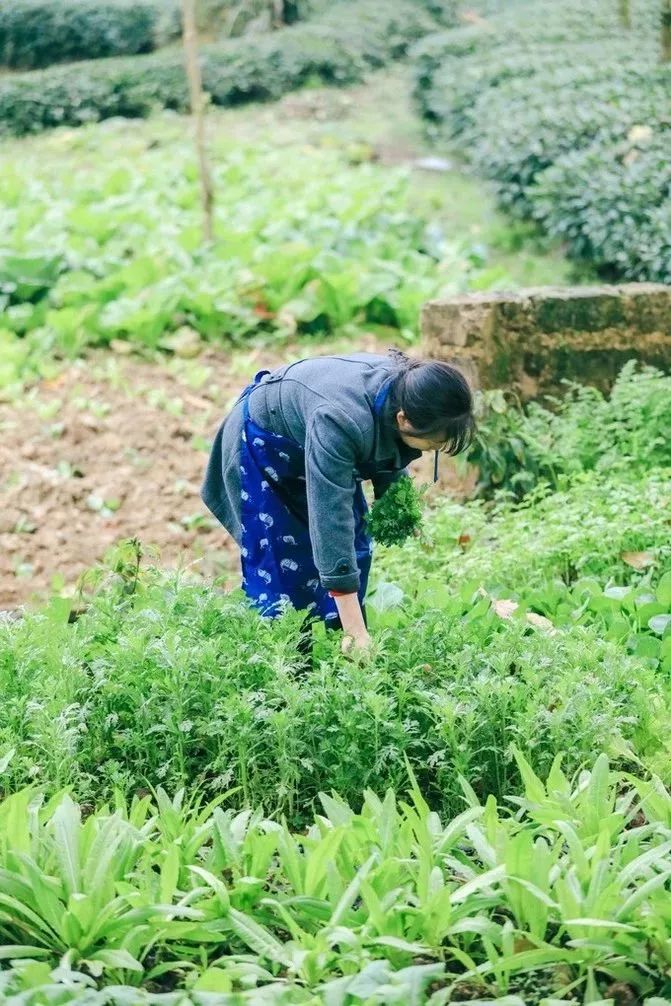 羡慕国外网红民宿?成都周边的悬崖酒店,你怕是