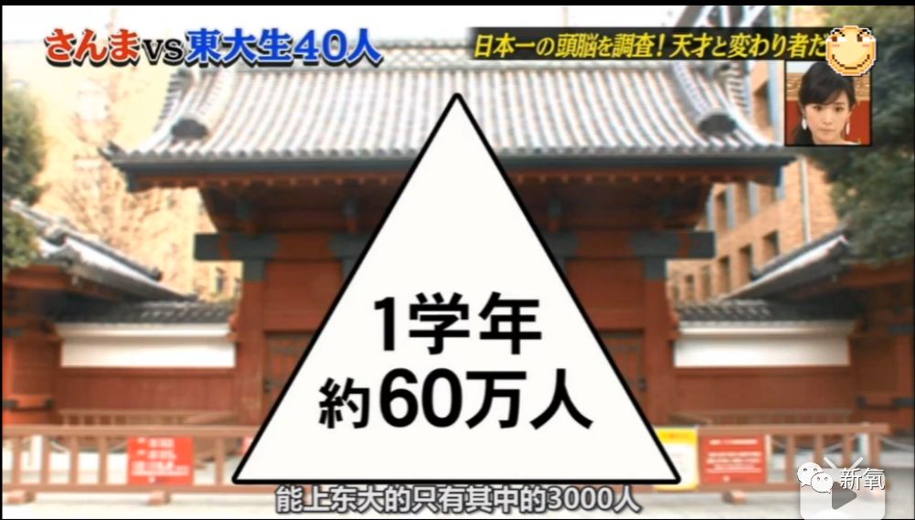 别骂欧阳娜娜了,新垣结衣、石原里美连大学都