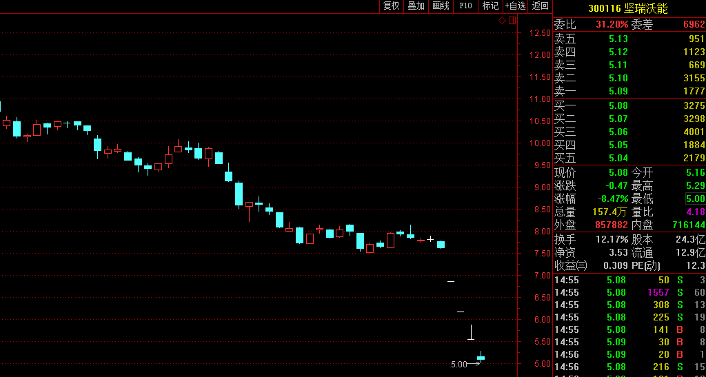 坚瑞沃能4日大跌33% 沃特玛称砸锅卖铁也会负