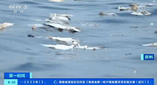 「在赌场赢钱的技巧」陌生人突袭新潮能源要罢免董事长 德隆系卷土重来?