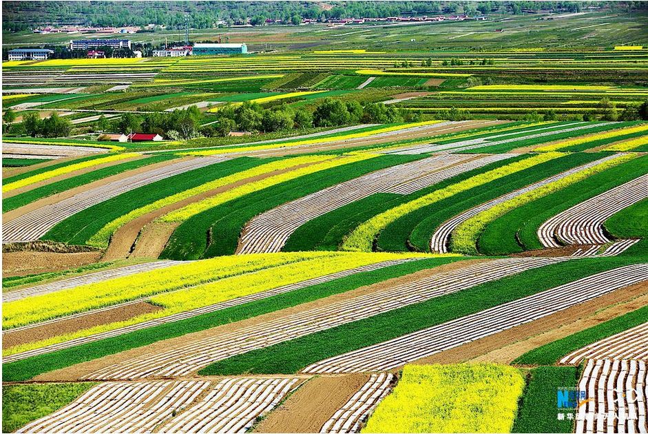 宁夏没有最佳旅游时间,因为它四季无缝连接!都