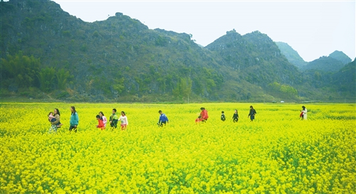 网红景点、文化民俗带热春节假期西部旅游