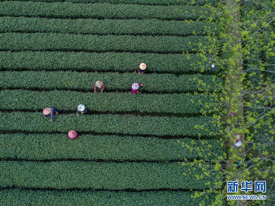 带上望远镜，去这些地方“偷窥”鸟儿谈恋爱