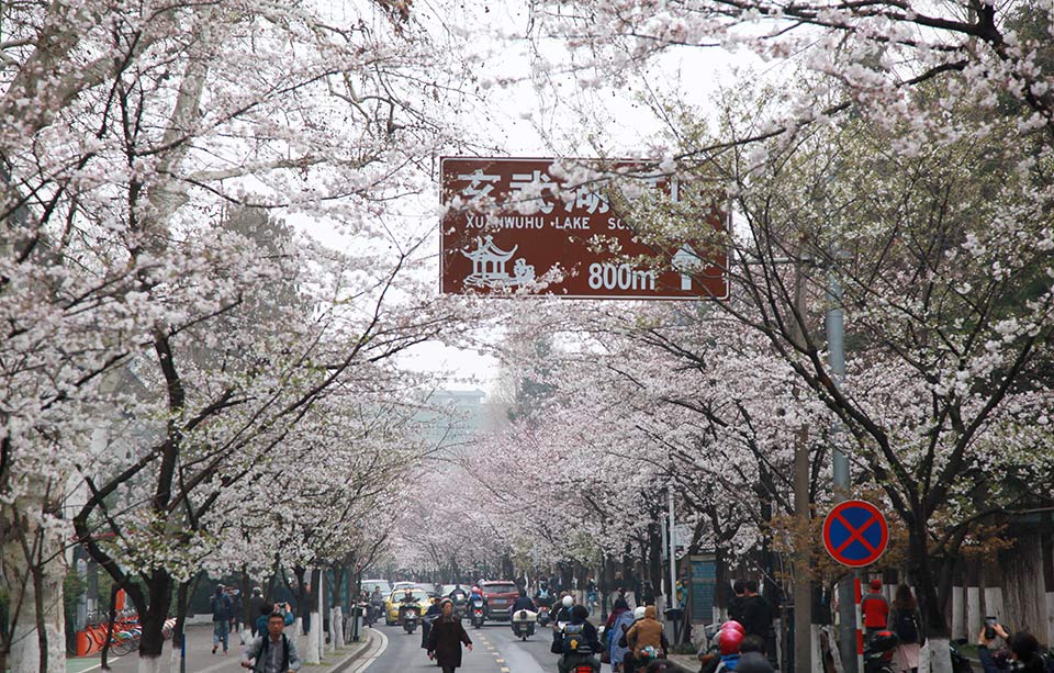 阜阳市颍泉区：“爱心托管”细心带娃