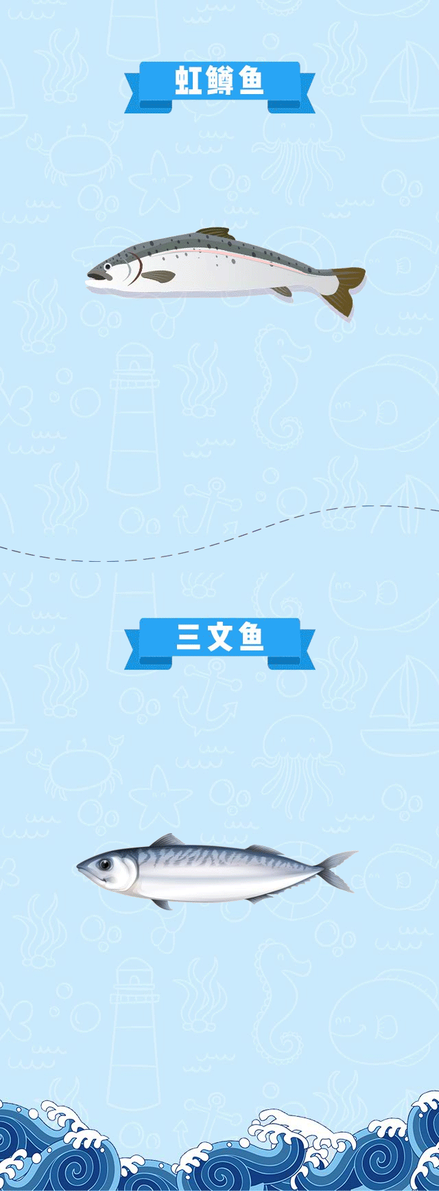 我们是谁?认清“本鳟”再当吃货好吗?