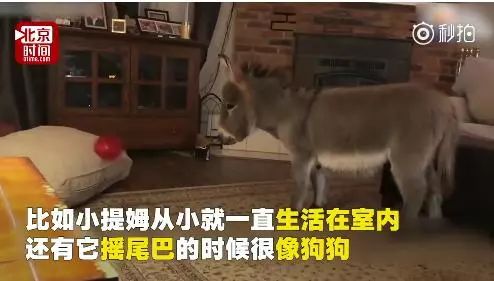 飙温！30℃春天回来了｜崩溃！秦皇岛一对情侣酒