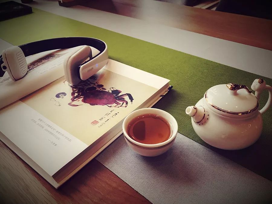80后茶博物馆馆长,11年喝上万杯茶,"茶让人安静" | 百匠大集