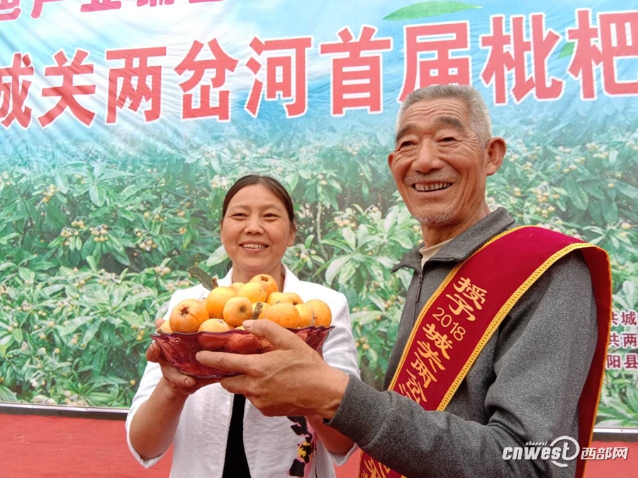 旬阳县城关镇两岔河村笑声多 枇杷成脱贫增收