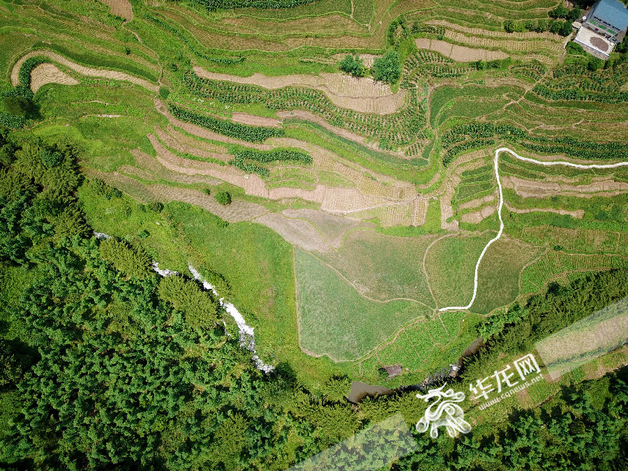 梨树县gdp航拍_梨树镇地图 梨树镇卫星地图 梨树镇高清航拍地图