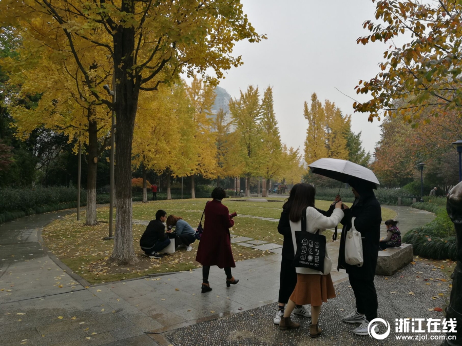 搜索一次网页的能耗，能烧开几十壶水？