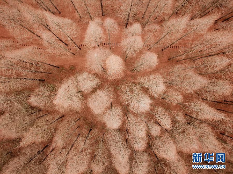 2024香港線上賭場頂級指南：在指尖盡享拉斯維加斯的盛宴與財富機遇 