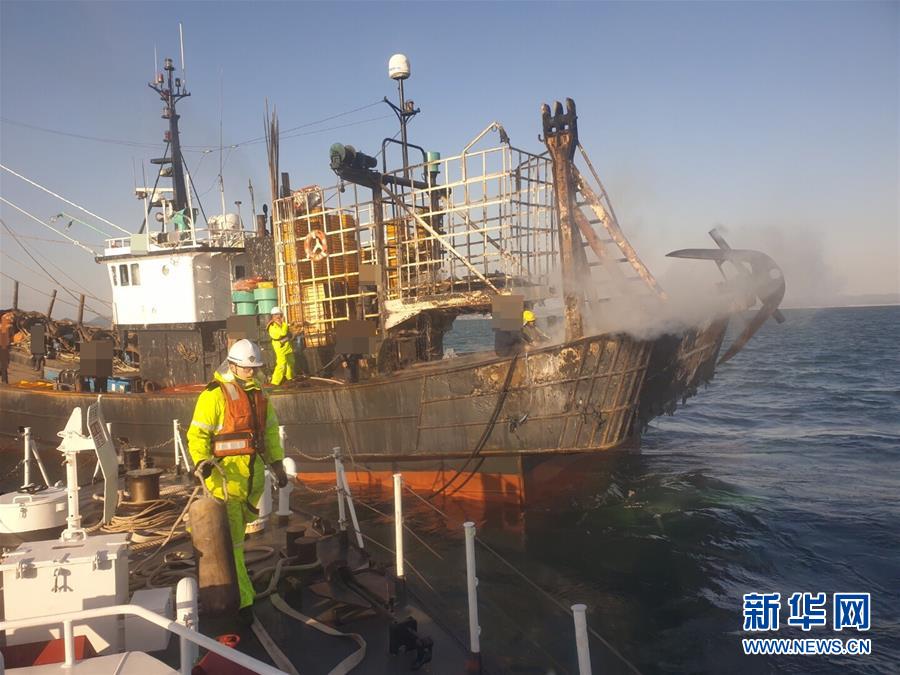 “纸笔竹陶”惊艳长三角文博会
