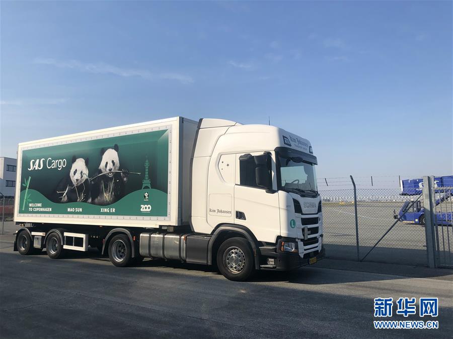 涡阳县：志愿写春联 温暖送到家