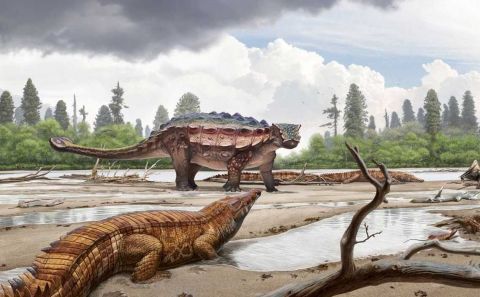 美国犹他州发现甲龙化石 推断为新品种 丑到只