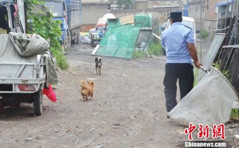 济南公安开发养犬管理APP 破解城市养犬难题