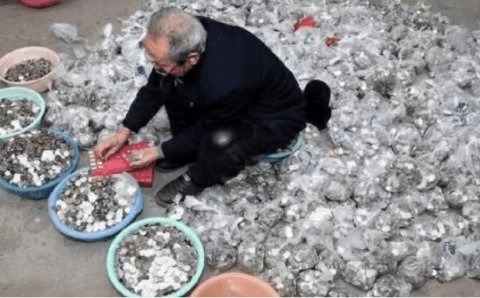 老汉到银行存钱 银行人员看到他掏出自己的积